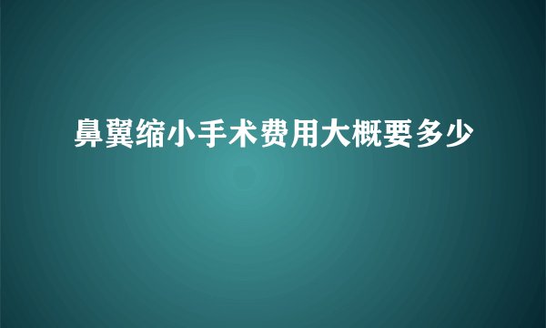 鼻翼缩小手术费用大概要多少