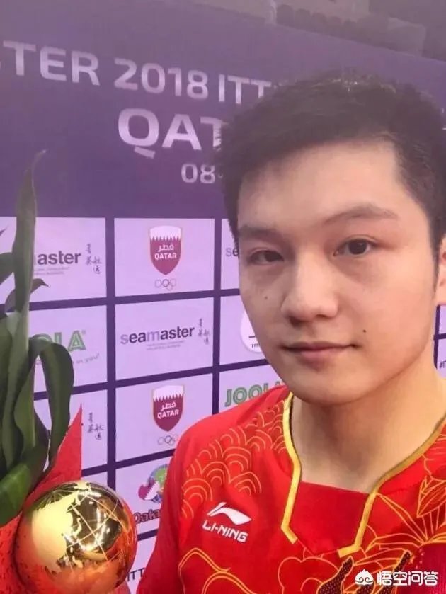 樊振东卡塔尔公开赛为林高远复仇,夺冠后首登世界第一,你如何看?