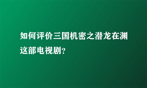 如何评价三国机密之潜龙在渊这部电视剧？
