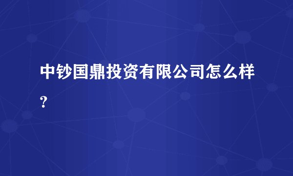 中钞国鼎投资有限公司怎么样？