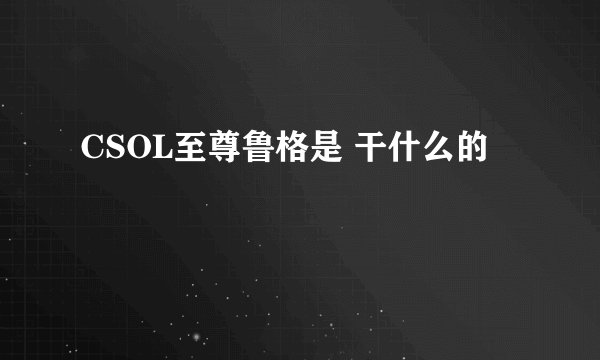 CSOL至尊鲁格是 干什么的