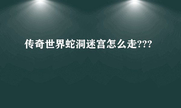 传奇世界蛇洞迷宫怎么走???