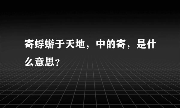 寄蜉蝣于天地，中的寄，是什么意思？