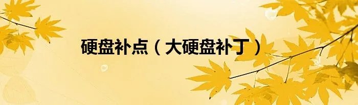 硬盘补点(大硬盘补丁)