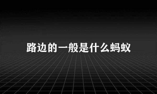 路边的一般是什么蚂蚁