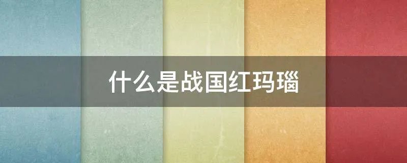 什么是战国红玛瑙