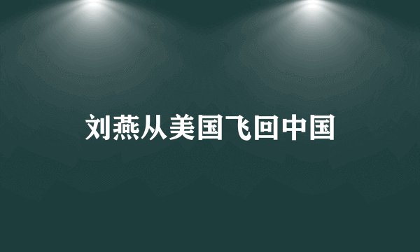 刘燕从美国飞回中国