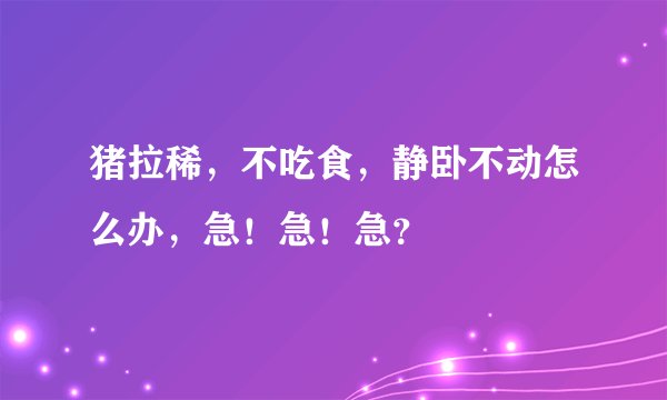 猪拉稀，不吃食，静卧不动怎么办，急！急！急？