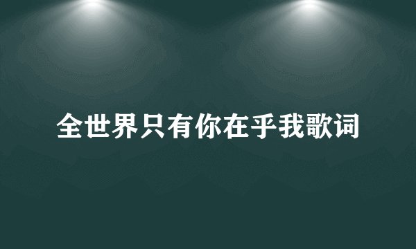 全世界只有你在乎我歌词