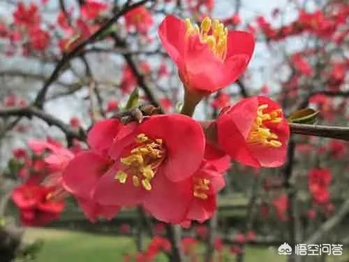 救援机构起诉温州“失联”男孩母亲,并索赔1元,对此你怎么看?