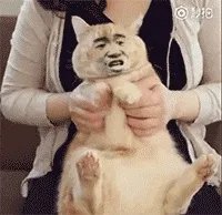 网红美食“脏包包”的火爆,最大原因是什么?