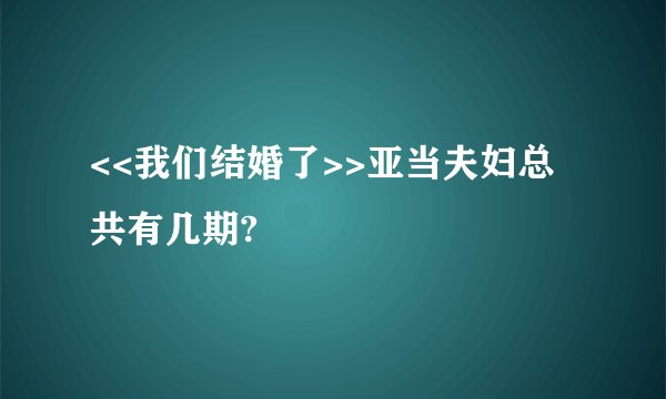 <<我们结婚了>>亚当夫妇总共有几期?