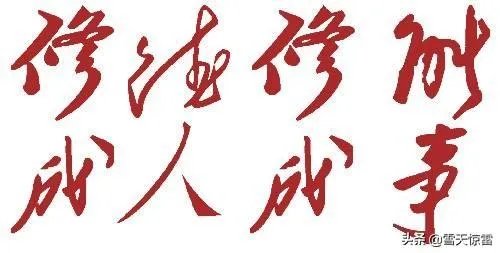 拜耳开除员工的依据是什么?