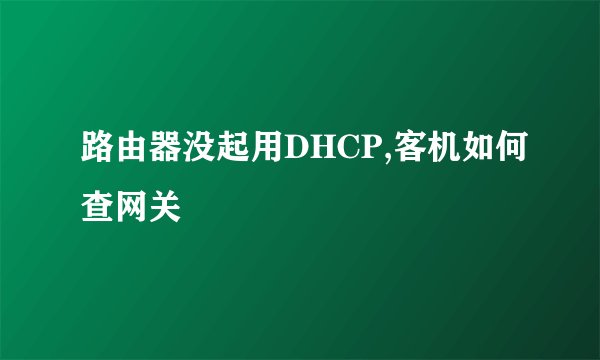 路由器没起用DHCP,客机如何查网关
