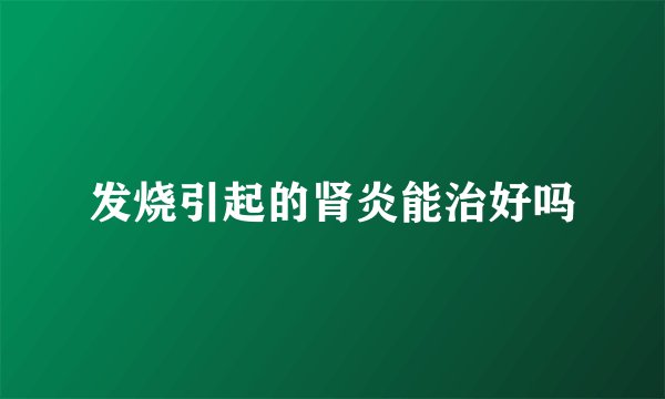 发烧引起的肾炎能治好吗