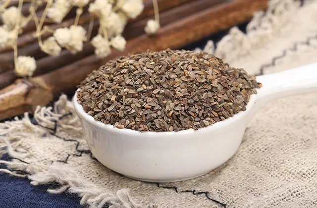 茺蔚子的功效与作用 中药茺蔚子怎么用