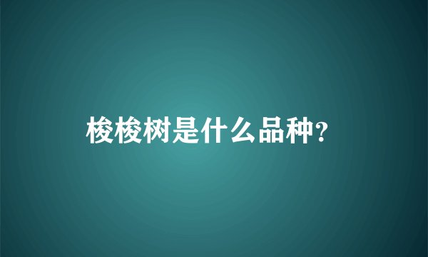 梭梭树是什么品种？
