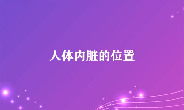 人体内脏的位置