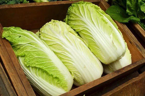 冬天,吃4种菜最养生