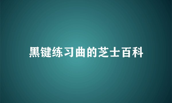 黑键练习曲的芝士百科