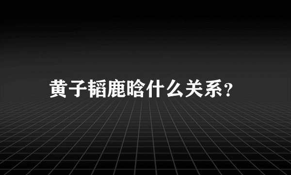 黄子韬鹿晗什么关系？