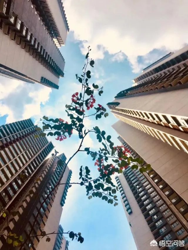 三亚现在的买房限购政策是怎样的？