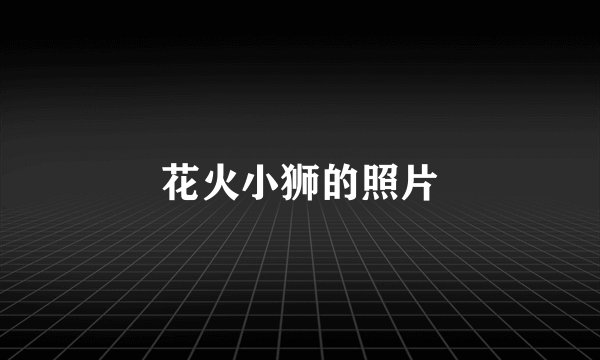 花火小狮的照片