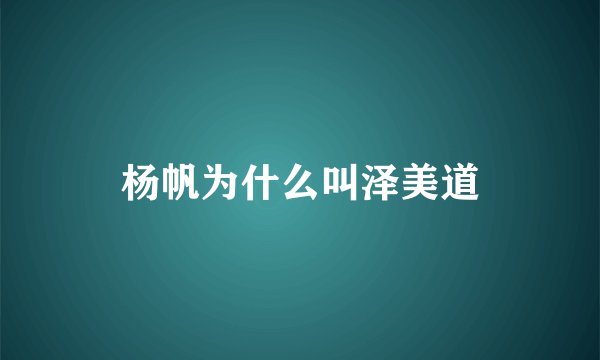杨帆为什么叫泽美道