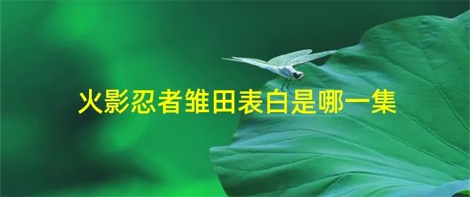 火影忍者雏田表白是哪一集