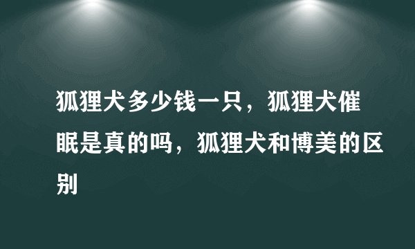 狐狸犬多少钱一只,狐狸犬催眠是真的吗,狐狸犬和博美的区别