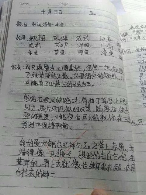 好词好句