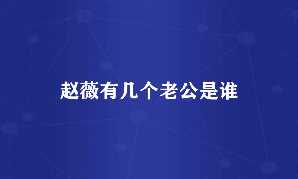 赵薇有几个老公是谁