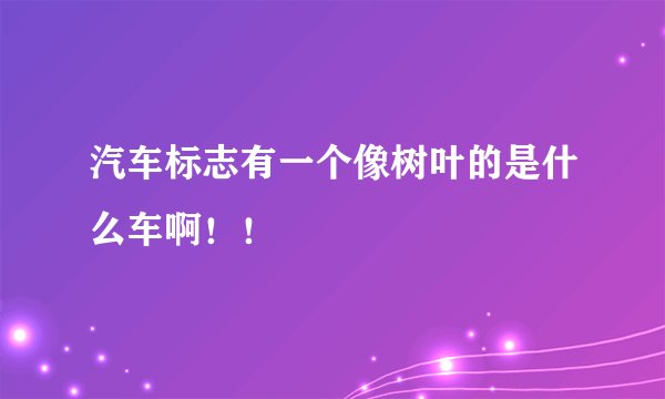 汽车标志有一个像树叶的是什么车啊！！