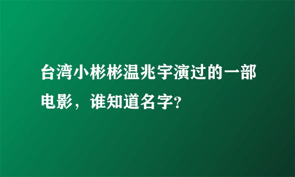 台湾小彬彬温兆宇演过的一部电影，谁知道名字？