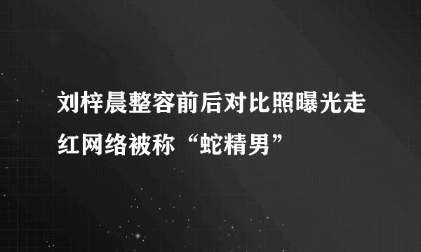 刘梓晨整容前后对比照曝光走红网络被称“蛇精男”