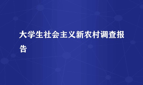 大学生社会主义新农村调查报告