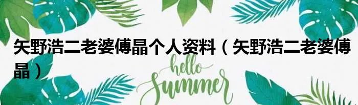 矢野浩二老婆傅晶个人资料（矢野浩二老婆傅晶）