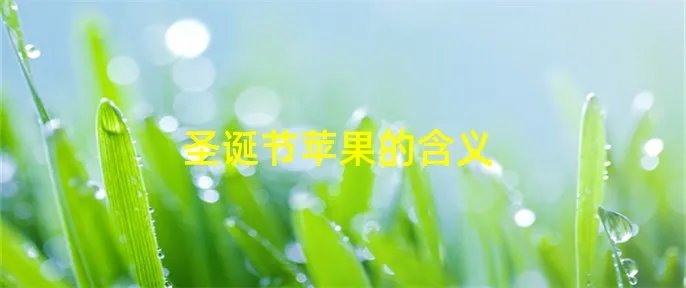 圣诞节苹果的含义
