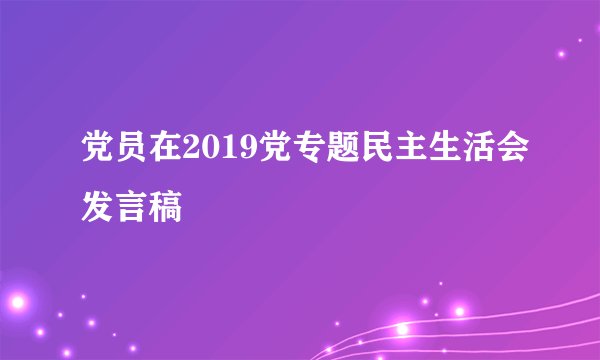 党员在2019党专题民主生活会发言稿