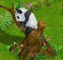 《梦幻西游》牧场饰品有哪些?牧场饰品选择攻略