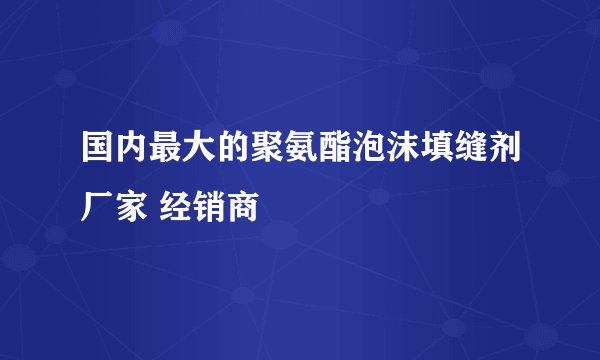 国内最大的聚氨酯泡沫填缝剂厂家 经销商