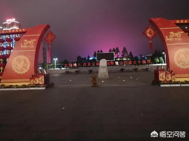 哪些犬种在原产国享有“国宝”的美誉?
