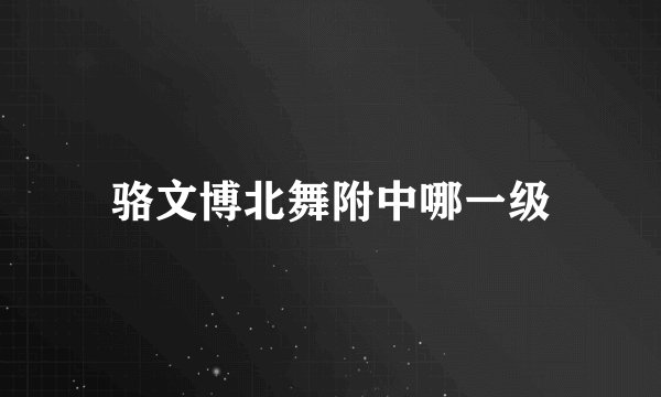 骆文博北舞附中哪一级