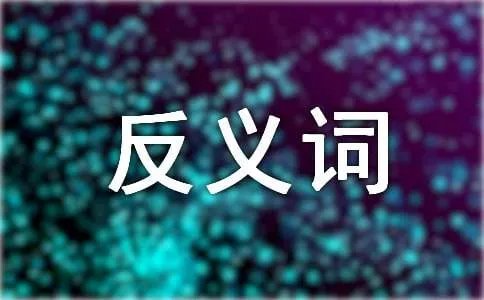 典雅的反义词
