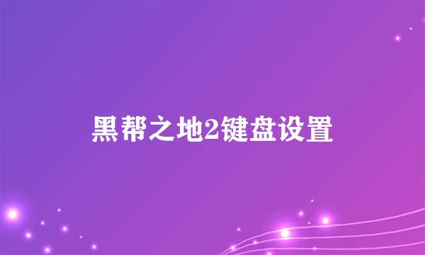 黑帮之地2键盘设置