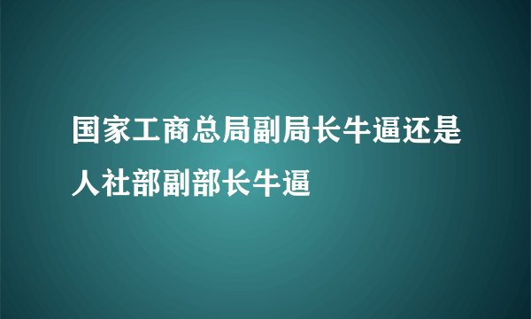 国家工商总局副局长牛逼还是人社部副部长牛逼