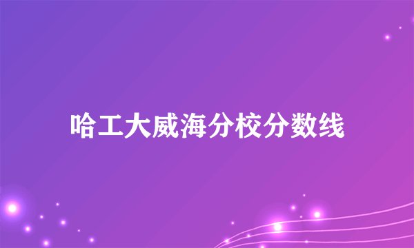 哈工大威海分校分数线