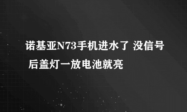 诺基亚N73手机进水了 没信号 后盖灯一放电池就亮