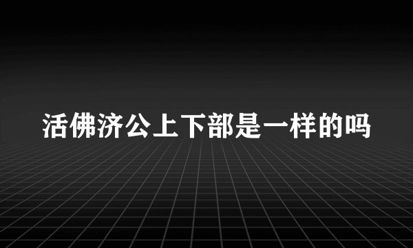 活佛济公上下部是一样的吗