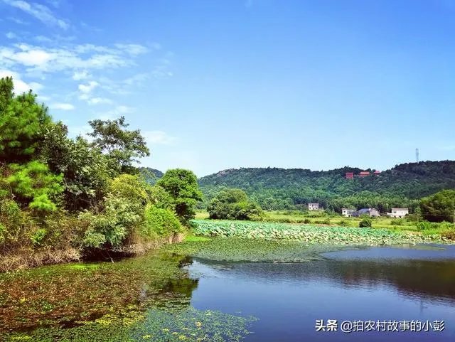 为什么三分之二的年轻人不愿意回农村了?